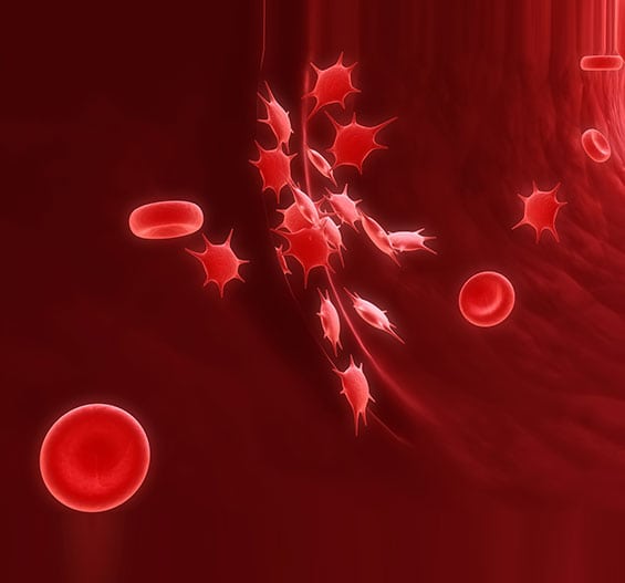 Immunology Clinical Laboratory in Los Angeles Corona Pathology 1 - Immunology Clinical Laboratory in Los Angeles Immunology Clinical Laboratory in Los Angeles Corona Pathology 1 - Immunology Clinical Laboratory in Los Angeles