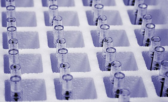 Clinical Laboratory in California Corona Pathology 2 - Clinical Laboratory in California Clinical Laboratory in California Corona Pathology 2 - Clinical Laboratory in California