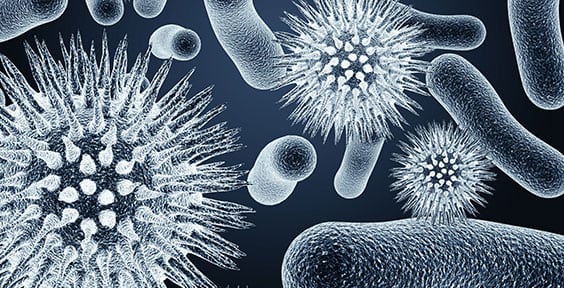 Immunology Clinical Laboratory in California Corona Pathology 1 - Immunology Clinical Laboratory in California Immunology Clinical Laboratory in California Corona Pathology 1 - Immunology Clinical Laboratory in California