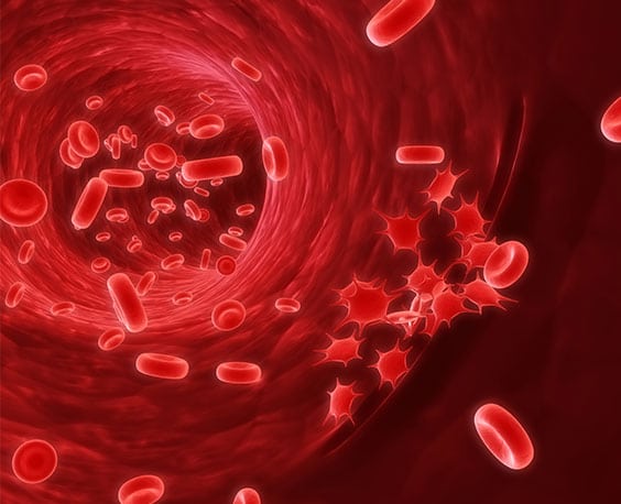Immunology Clinical Laboratory in California Corona Pathology 3 - Immunology Clinical Laboratory in California Immunology Clinical Laboratory in California Corona Pathology 3 - Immunology Clinical Laboratory in California