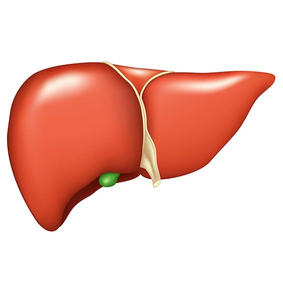 Liver Function Tests Corona Pathology 2 - Liver Function Tests Liver Function Tests Corona Pathology 2 - Liver Function Tests