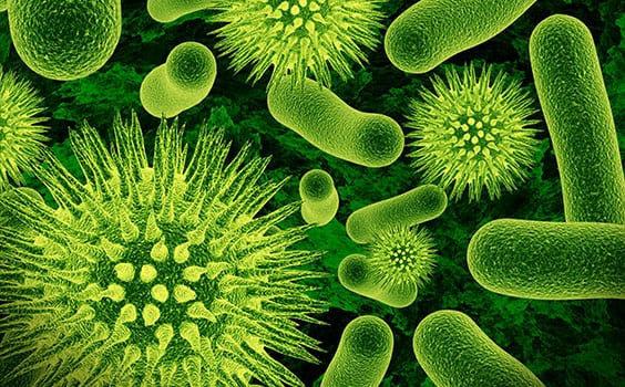 Molecular Bacteriology Virology Corona Pathology 1 - Molecular Bacteriology & Virology Molecular Bacteriology Virology Corona Pathology 1 - Molecular Bacteriology & Virology