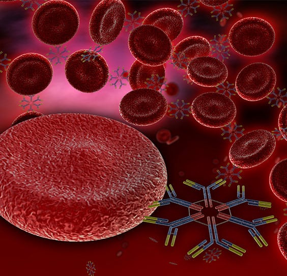 Toxicology Lab in Los Angeles Corona Pathology 3 - Toxicology Lab in Los Angeles Toxicology Lab in Los Angeles Corona Pathology 3 - Toxicology Lab in Los Angeles
